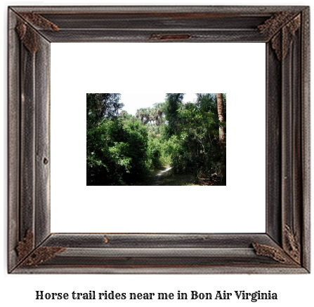 horse trail rides near me in Bon Air, Virginia